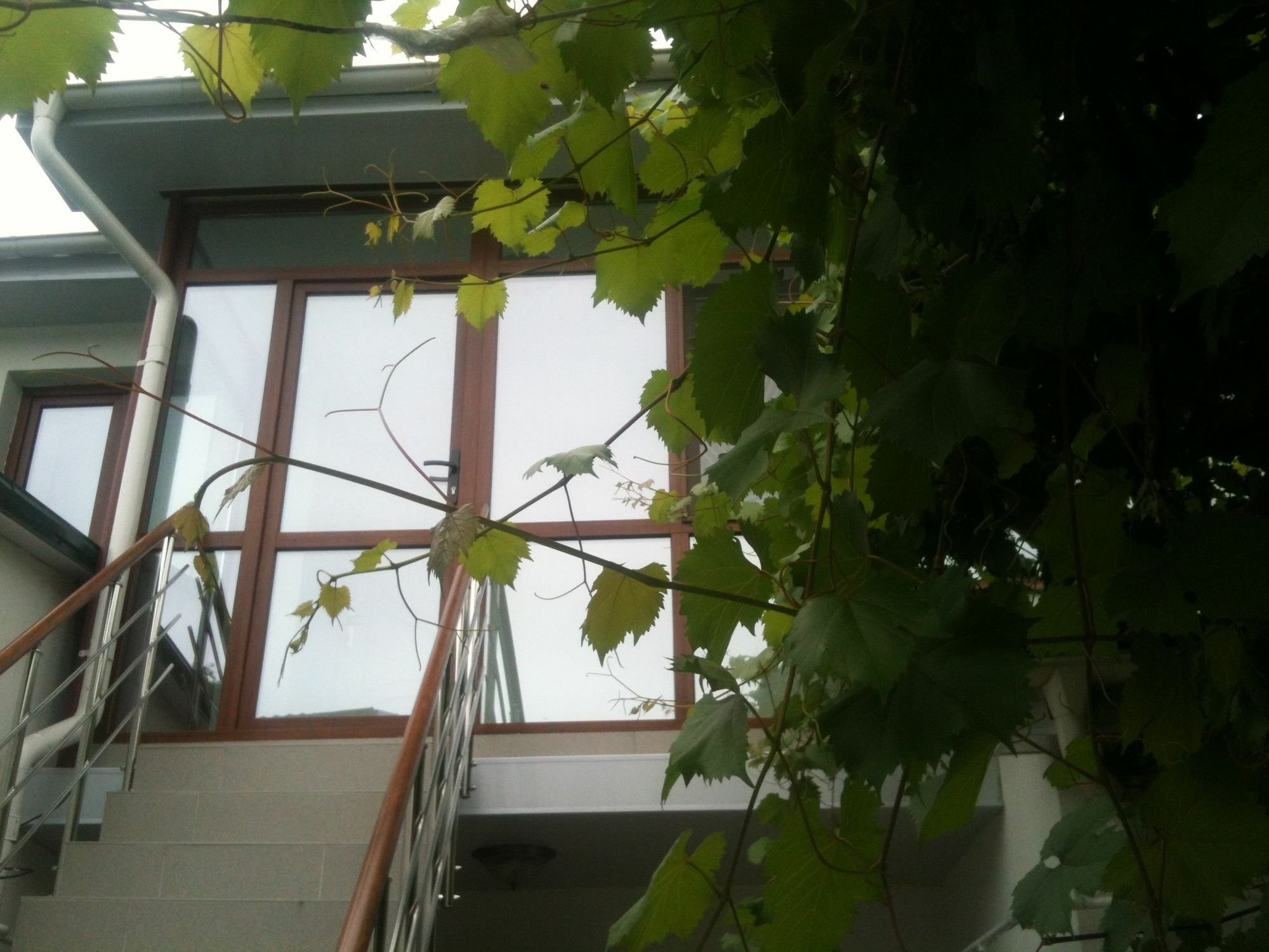 Hotel Lidia คีชีเนา ภายนอก รูปภาพ